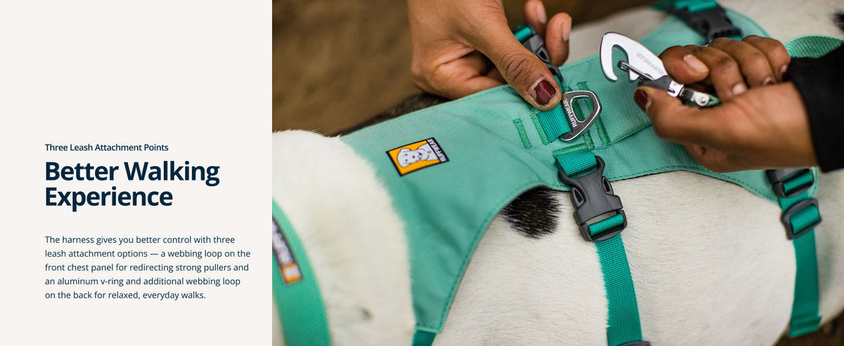 Breathable Dog Mobility Support Harness Vest for Walking, Sage Green