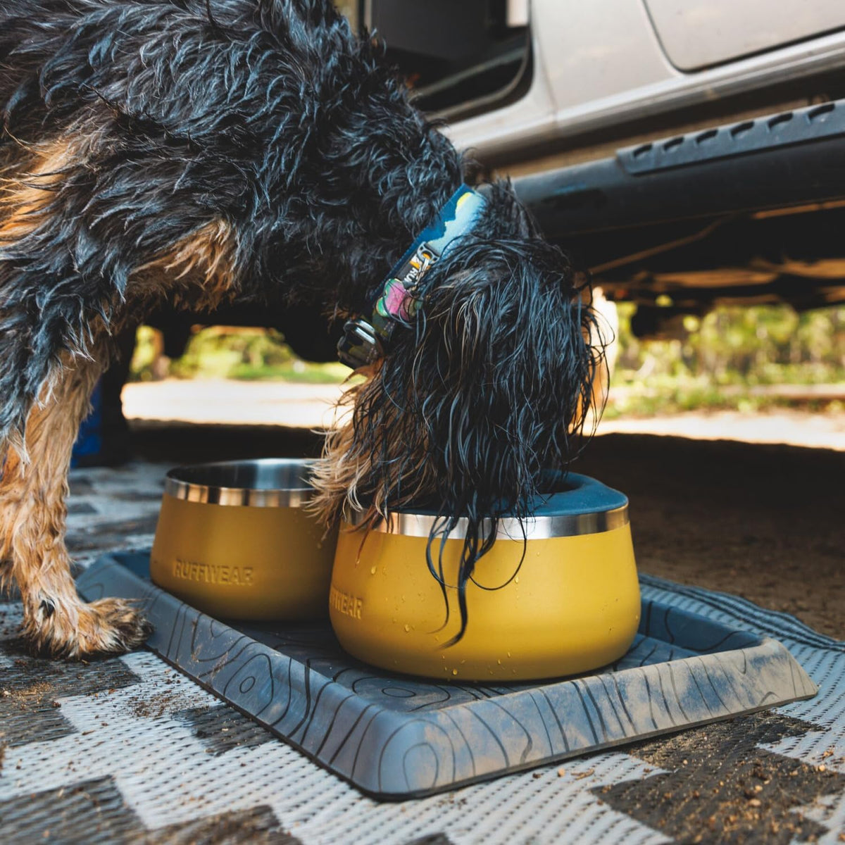 Rust Resistant Metal Stainless Steel Dog Food and Water Bowl, Tan