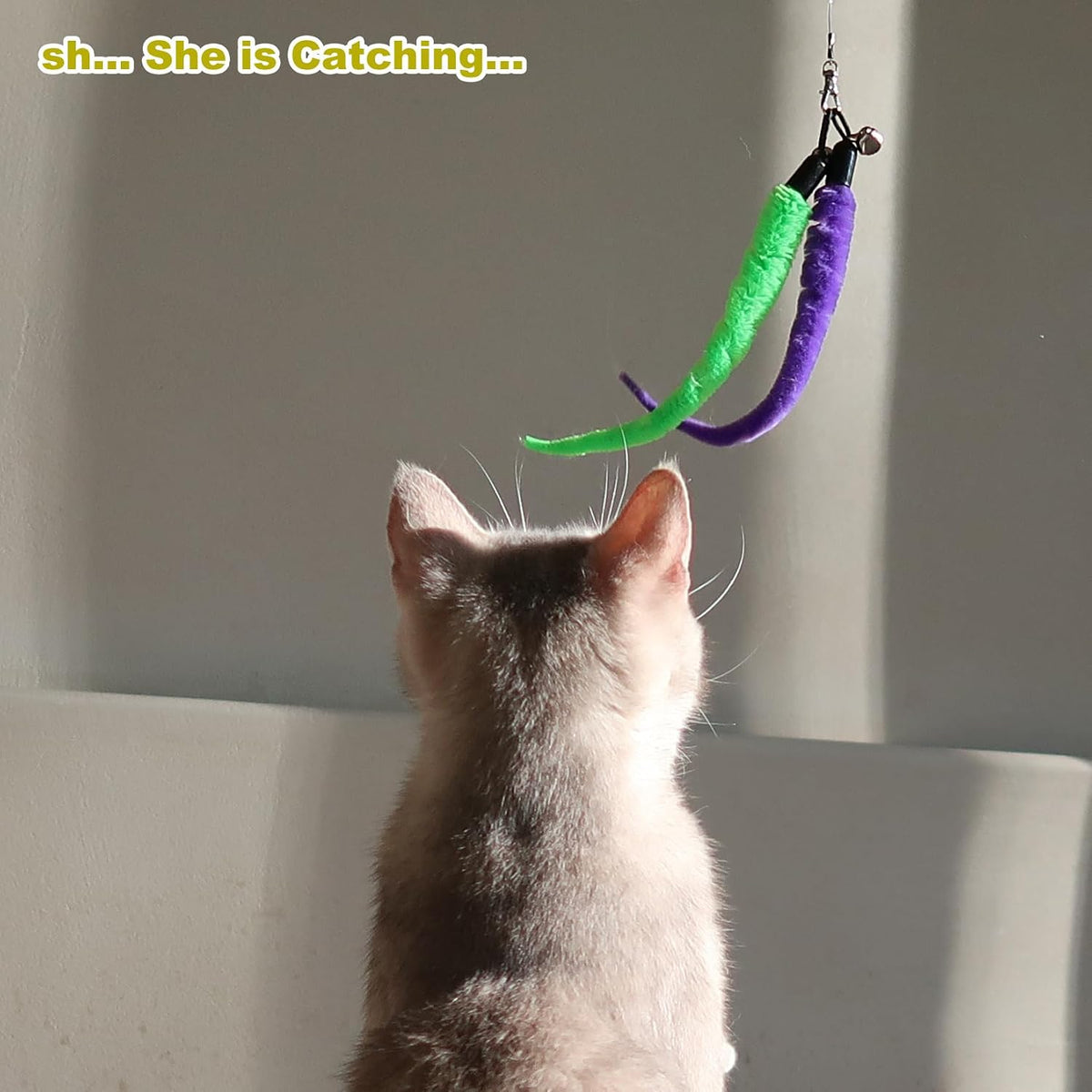 11 Piece Interactive Cat Feather Wand Toy Set for Indoor Play Exercise