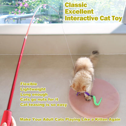 11 Piece Interactive Cat Feather Wand Toy Set for Indoor Play Exercise