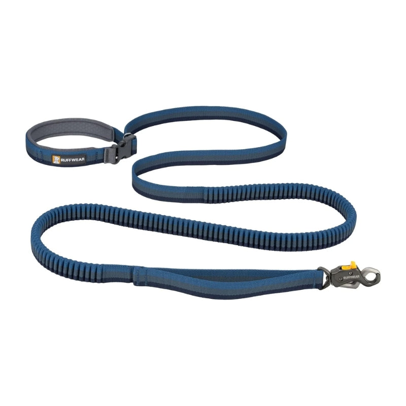 Hands-Free Stretchable Bungee Jogging Dog Leash with Lockable Carabiner